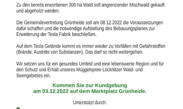 Kundgebung für einen Umwelterhalt und gegen weitere Waldrodungen für Erweiterungen Teslas in Grünheide