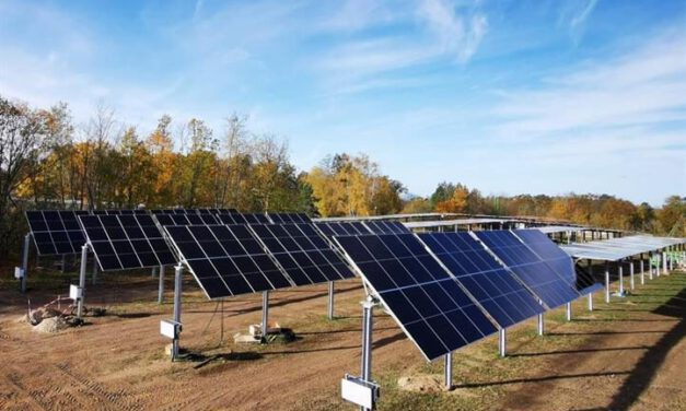 Exkursion und Fachgespräch: Agri-PV und Artenvielfalt in Solarpark