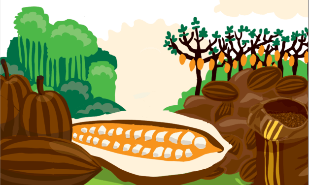 Durch den Kakao: Botanik, Kolonialismus, Gegenwart