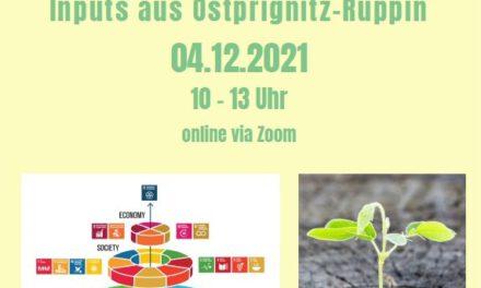 04.12.2021 — Veranstaltung “Impulse für nachhaltige und weltoffene Landkreise — mit Inputs aus Ostprignitz-Ruppin”